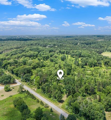 2714 E Hawley Road, Custer, MI 49405