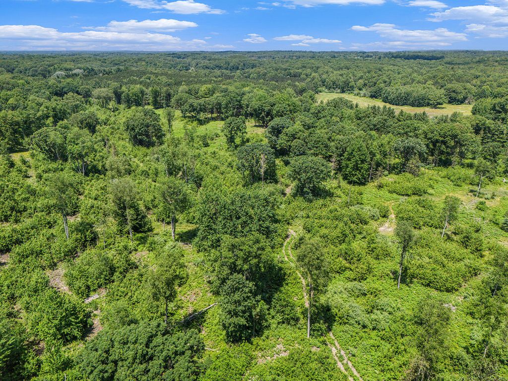 2714 E Hawley Road, Custer, MI 49405