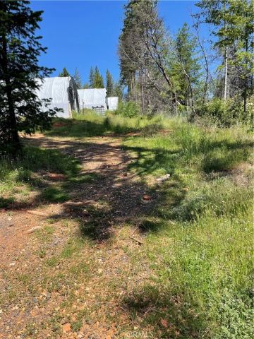 35 Yancey Terrace, Berry Creek, CA 95916