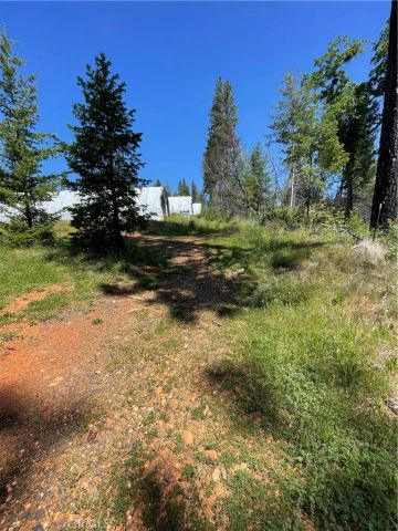 35 Yancey Terrace, Berry Creek, CA 95916