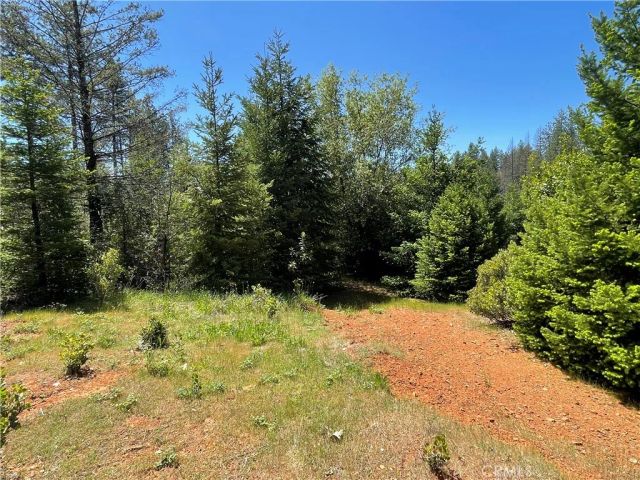 35 Yancey Terrace, Berry Creek, CA 95916