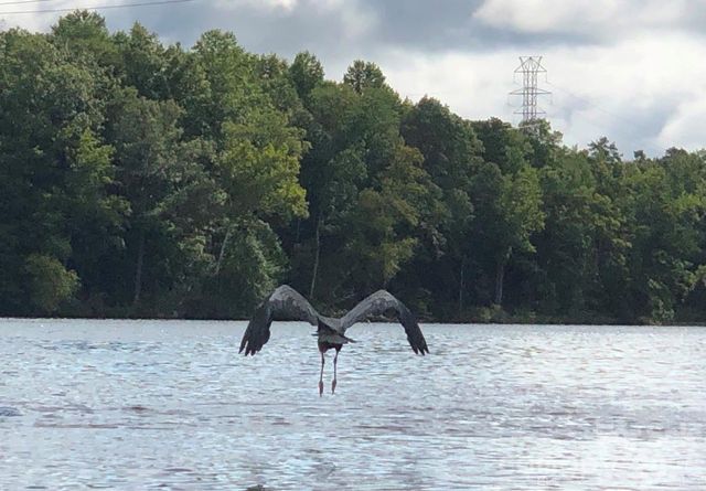 140 Picasso Trail, Mount Holly, NC 28120