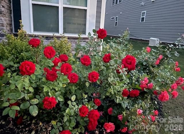 140 Picasso Trail, Mount Holly, NC 28120