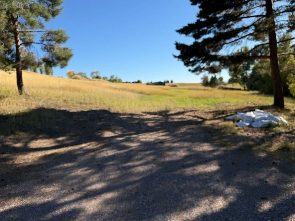 NHN Buena Vista Lane, Polson, MT 59860 photo 2