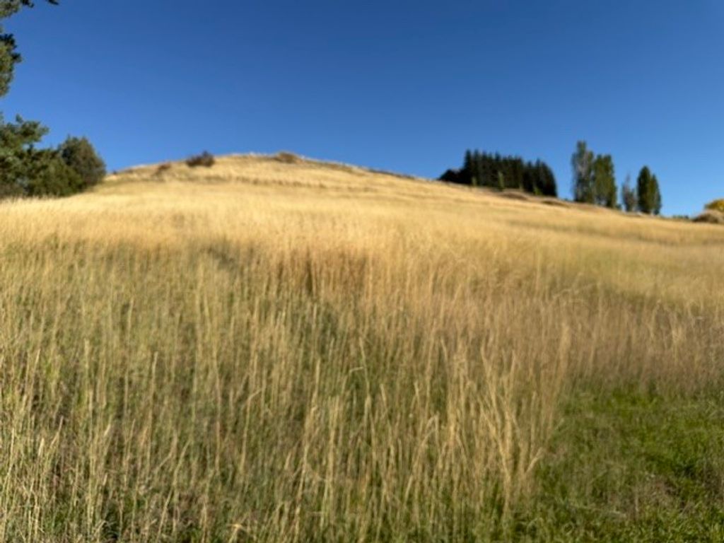 NHN Buena Vista Lane, Polson, MT 59860 photo 3