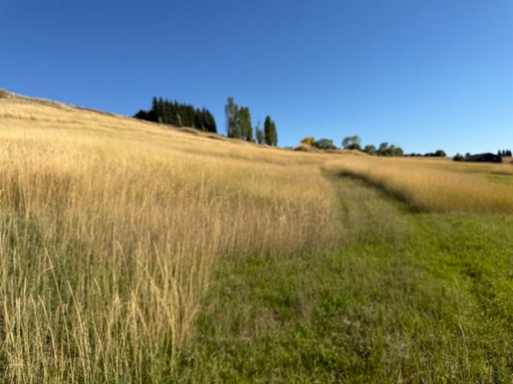 NHN Buena Vista Lane, Polson, MT 59860 photo 4