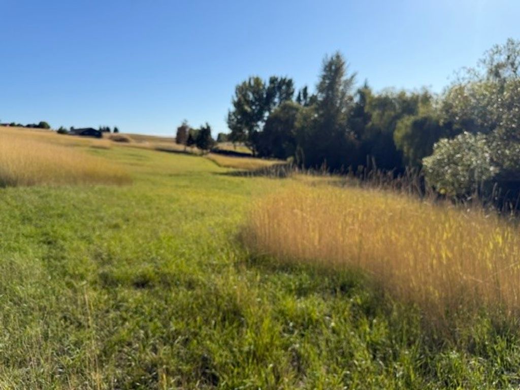 NHN Buena Vista Lane, Polson, MT 59860 photo 5