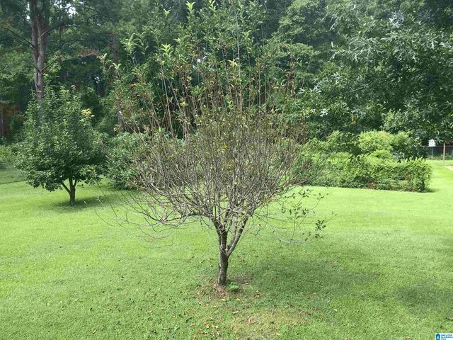 390 HIGHWAY 416, Wilsonville, AL 35186