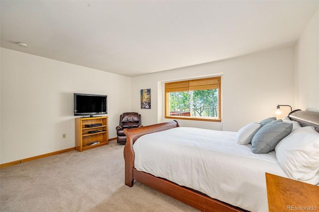 318 Foxtail Lane, Fairplay, CO 80440