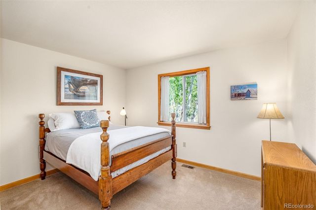 318 Foxtail Lane, Fairplay, CO 80440