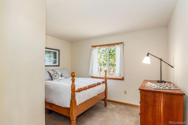 318 Foxtail Lane, Fairplay, CO 80440