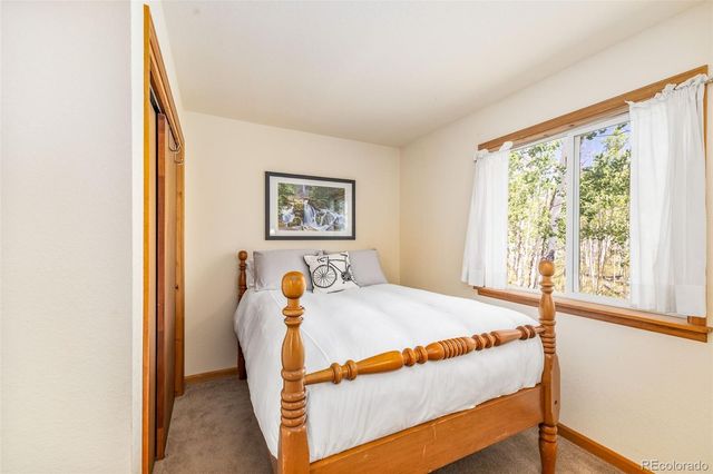 318 Foxtail Lane, Fairplay, CO 80440