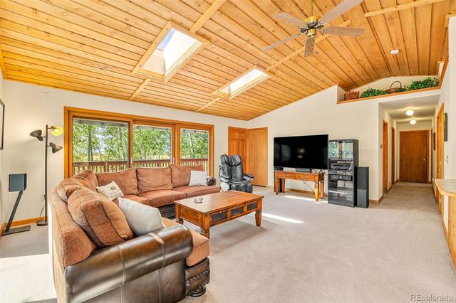 318 Foxtail Lane, Fairplay, CO 80440