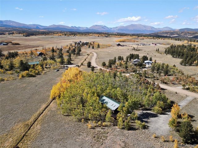 318 Foxtail Lane, Fairplay, CO 80440