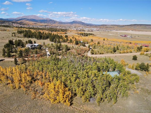 318 Foxtail Lane, Fairplay, CO 80440