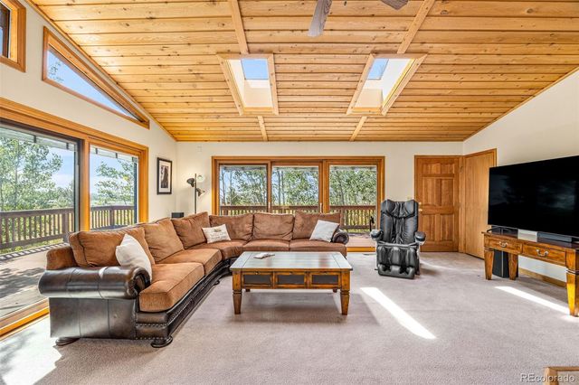 318 Foxtail Lane, Fairplay, CO 80440