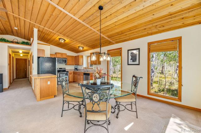 318 Foxtail Lane, Fairplay, CO 80440