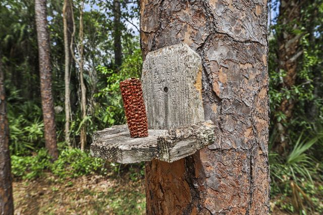 7370 SW Rattlesnake Run, Palm City, FL 34990