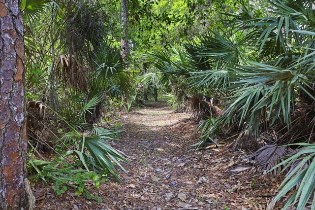 7370 SW Rattlesnake Run, Palm City, FL 34990