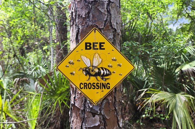 7370 SW Rattlesnake Run, Palm City, FL 34990