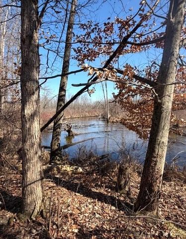 18821 Brownsville Street, Calvin Twp, MI 49031