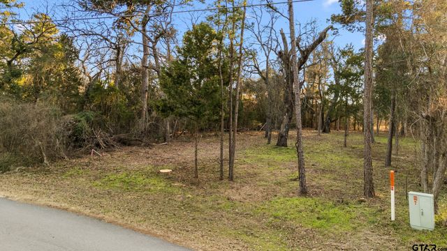 16029 Cumberland Way, Bullard, TX 75757