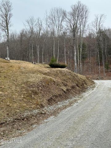 38 Henry Wescott Road, Thurman, NY 12885