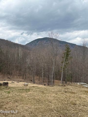 38 Henry Wescott Road, Thurman, NY 12885