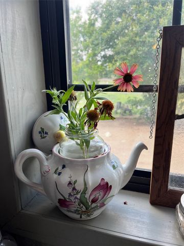 325 CR 100, San Saba, TX 76877