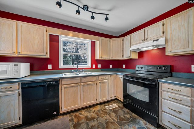 233 Drawdebil Court, Gilbert, SC 29054