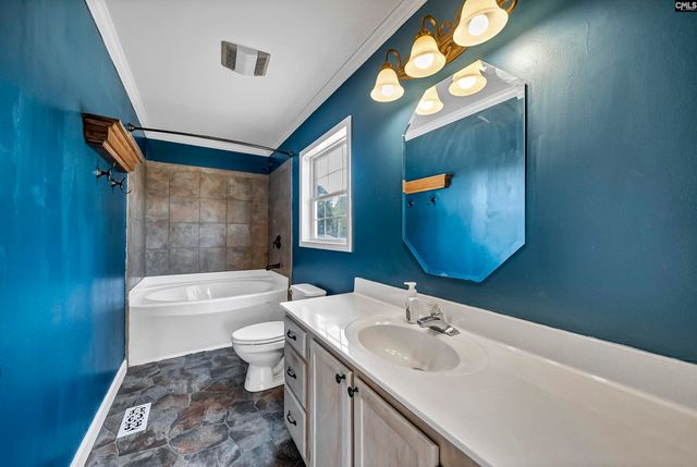 233 Drawdebil Court, Gilbert, SC 29054