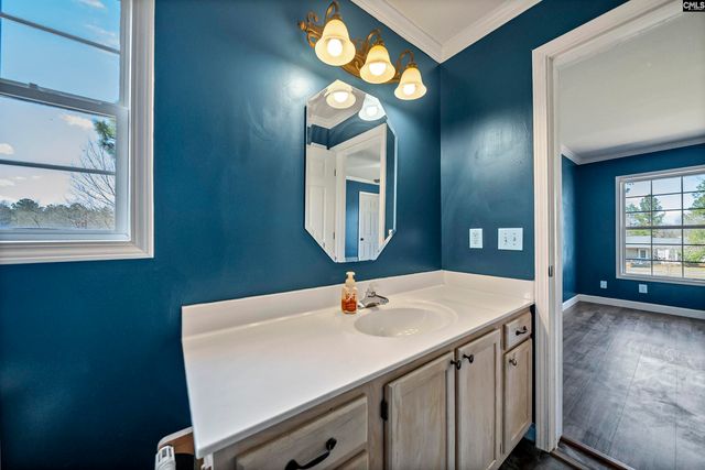 233 Drawdebil Court, Gilbert, SC 29054