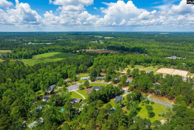 233 Drawdebil Court, Gilbert, SC 29054