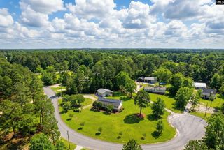 233 Drawdebil Court, Gilbert, SC 29054