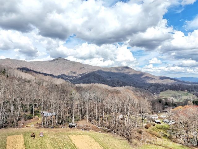 63 Alpaugh Drive, Waynesville, NC 28786