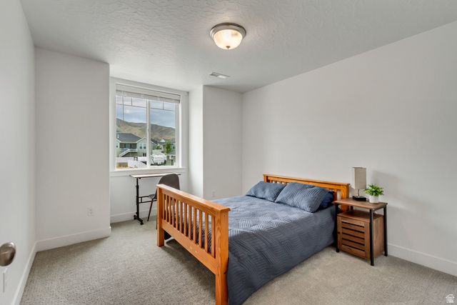 2888 S PUDDLE LN, Saratoga Springs, UT 84045