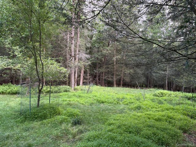260 Schumway Road, Neversink, NY 12765