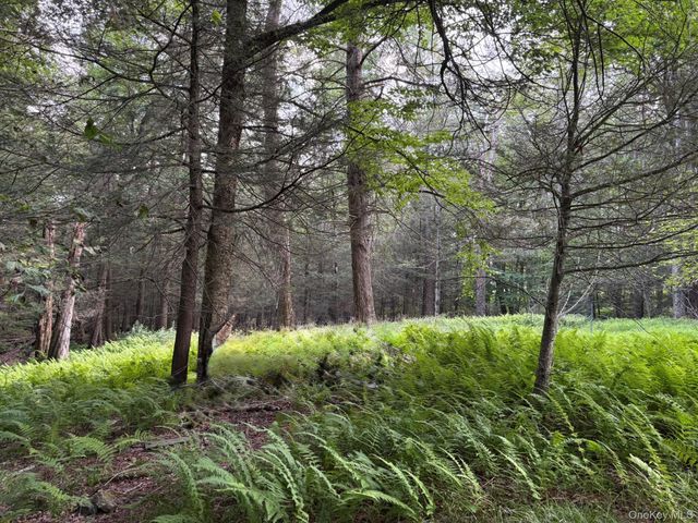 260 Schumway Road, Neversink, NY 12765