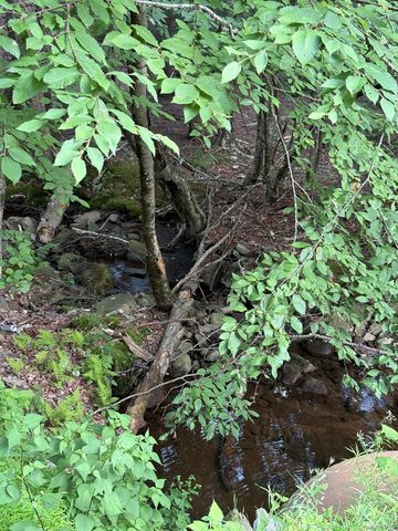 260 Schumway Road, Neversink, NY 12765