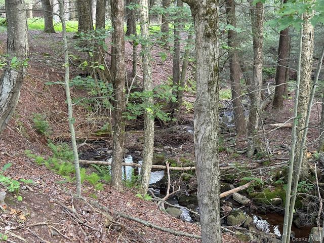 260 Schumway Road, Neversink, NY 12765
