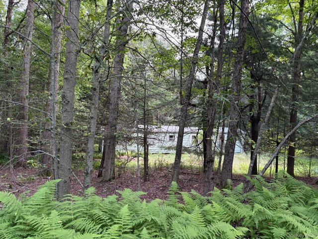 260 Schumway Road, Neversink, NY 12765