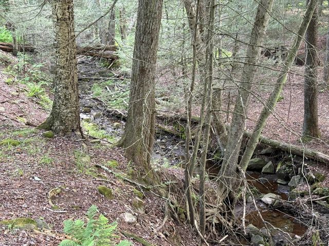 260 Schumway Road, Neversink, NY 12765