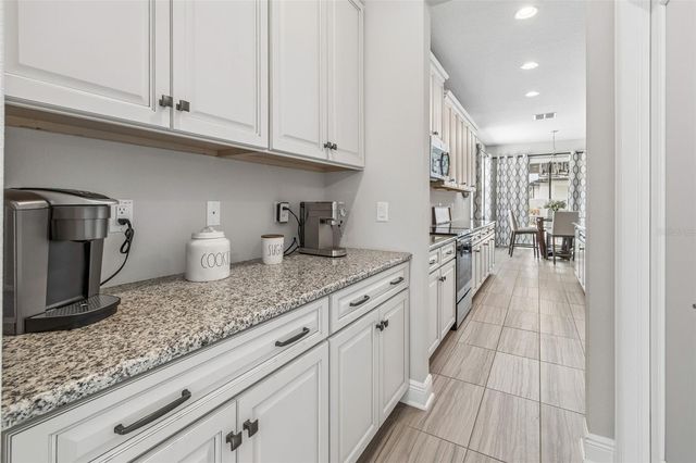 19328 BREYNIA DR, Lutz, FL 33558