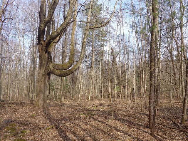 222 E 4th Street, Grand Junction, MI 49056