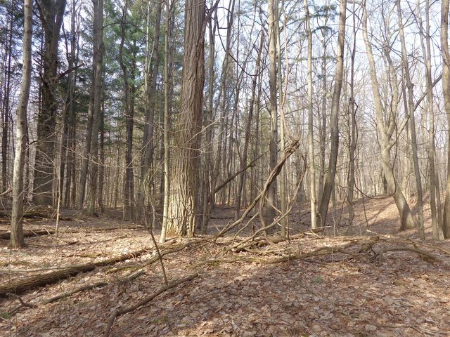 222 E 4th Street, Grand Junction, MI 49056