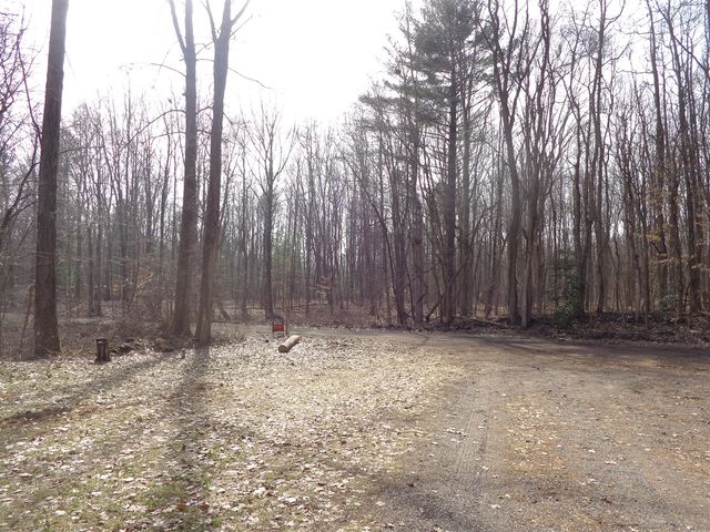 222 E 4th Street, Grand Junction, MI 49056