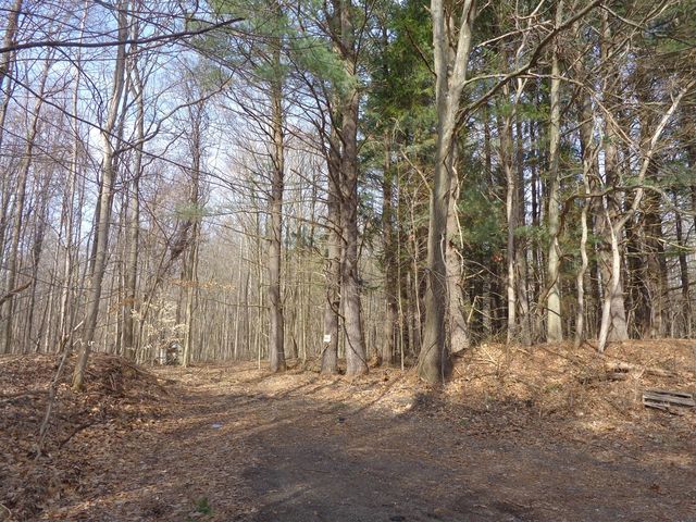 222 E 4th Street, Grand Junction, MI 49056