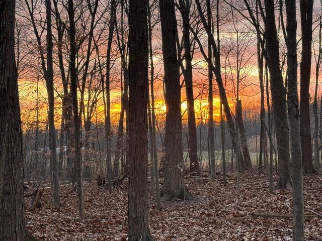 6629 W East Road B, Three Oaks, MI 49128