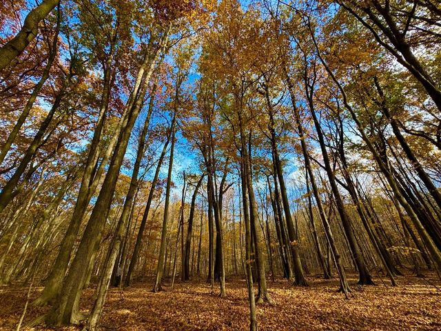 6629 W East Road B, Three Oaks, MI 49128
