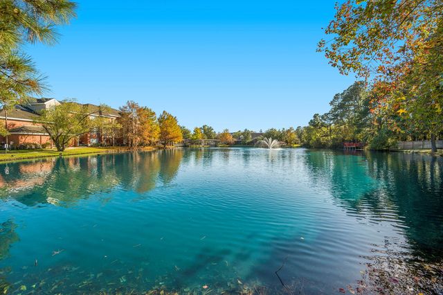 158 N Magnolia Pond Place 158E, The Woodlands, TX 77381